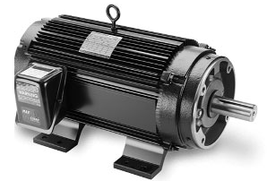 MOTOR BLACK MAX 1000